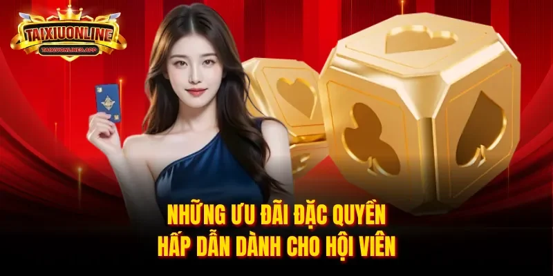 Những ưu đãi đặc quyền hấp dẫn dành cho hội viên